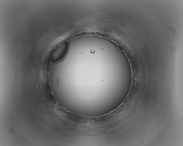 X0000114161207200910151559