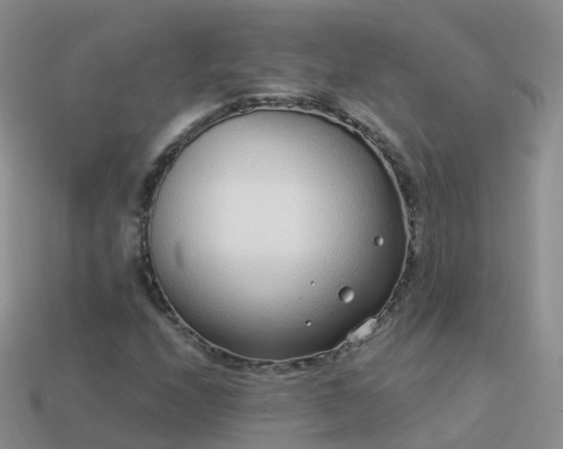 X0000114161208200910151559