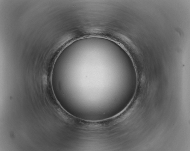 X0000114161209200910151559