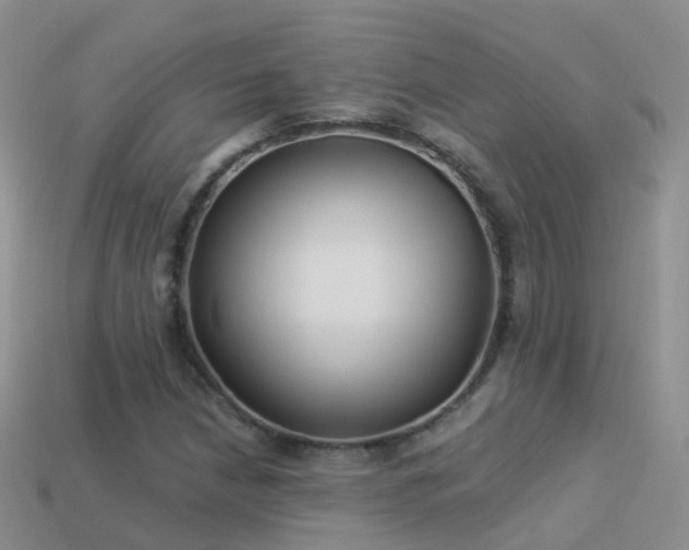 X0000114161210200910151559