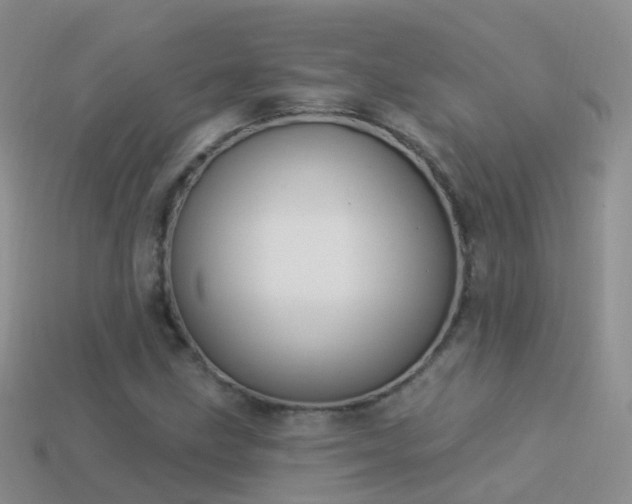 X0000114161211200910151559