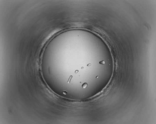 X0000114161212200910151559