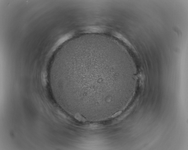 X0000114161213200910151559