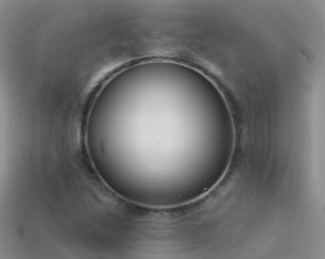 X0000114161214200910151559