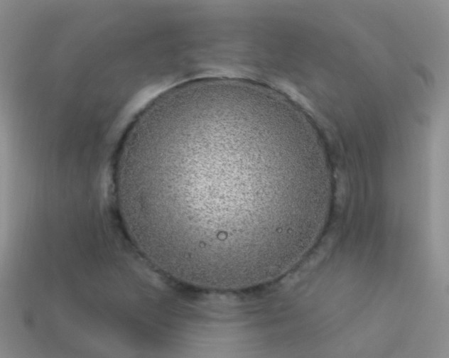 X0000114161215200910151559