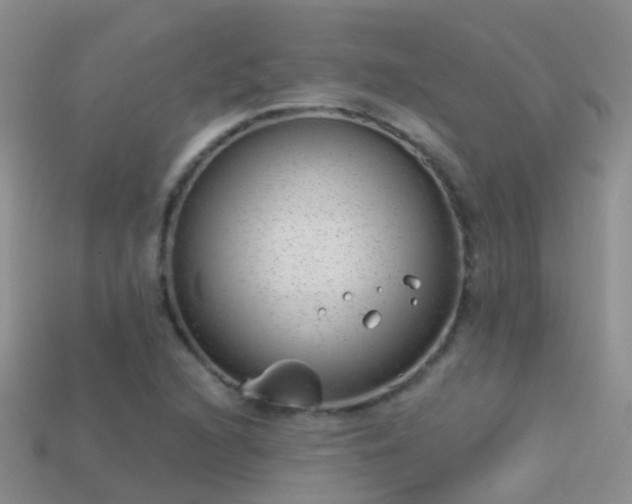 X0000114161216200910151559