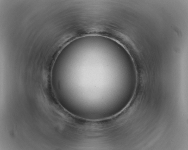 X0000114161217200910151559