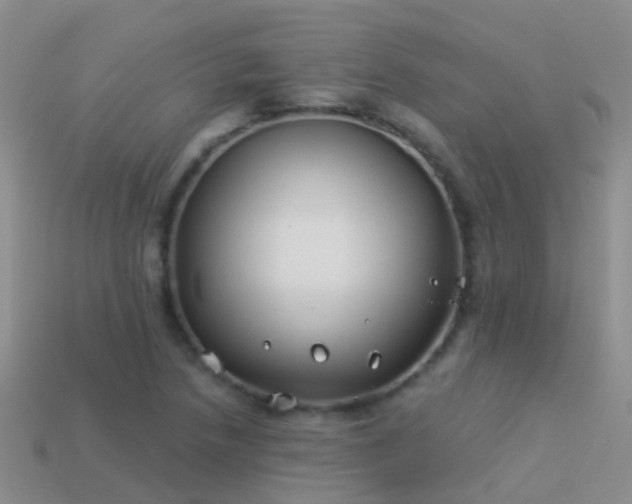 X0000114161218200910151559