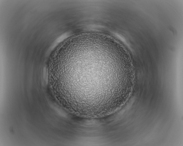 X0000114161219200910151559