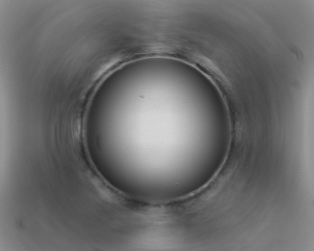 X0000114161220200910151559