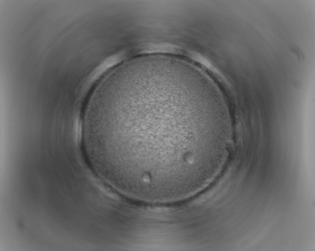 X0000114161221200910151559