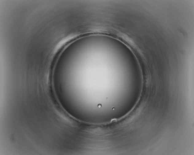 X0000114161222200910151559