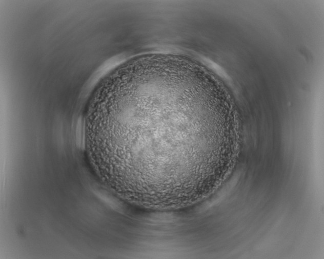 X0000114161223200910151559