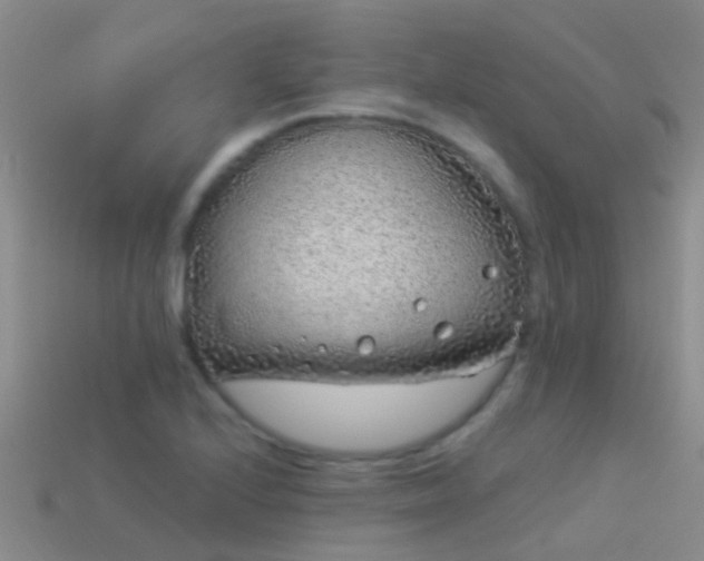 X0000114161224200910151559