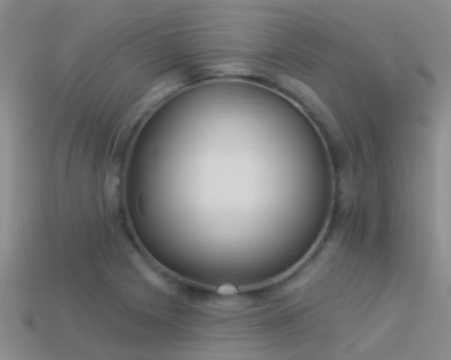 X0000114161225200910151559