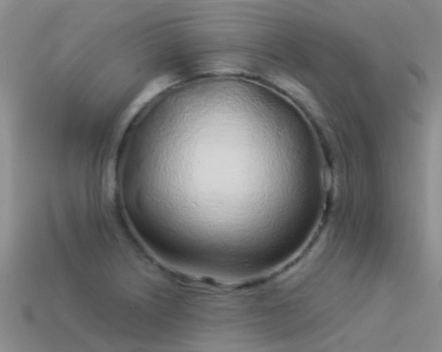 X0000114161226200910151559