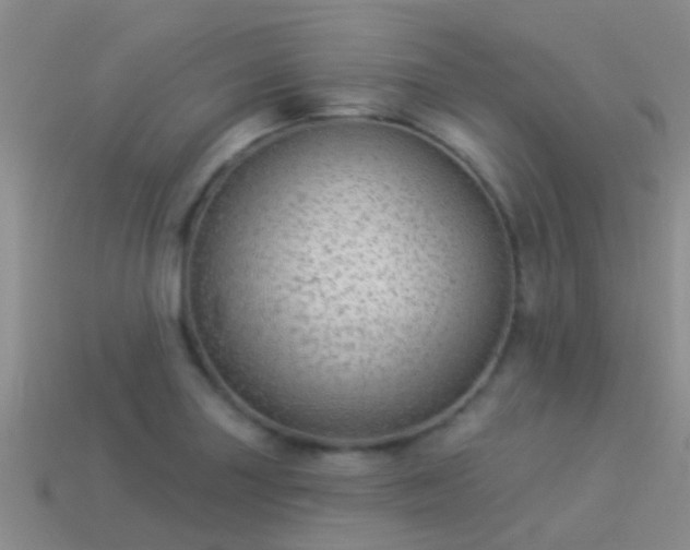 X0000114161227200910151559