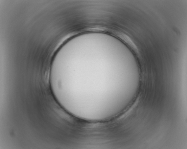 X0000114161228200910151559