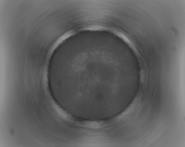 X0000114161229200910151559