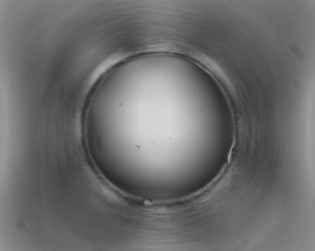 X0000114161230200910151559