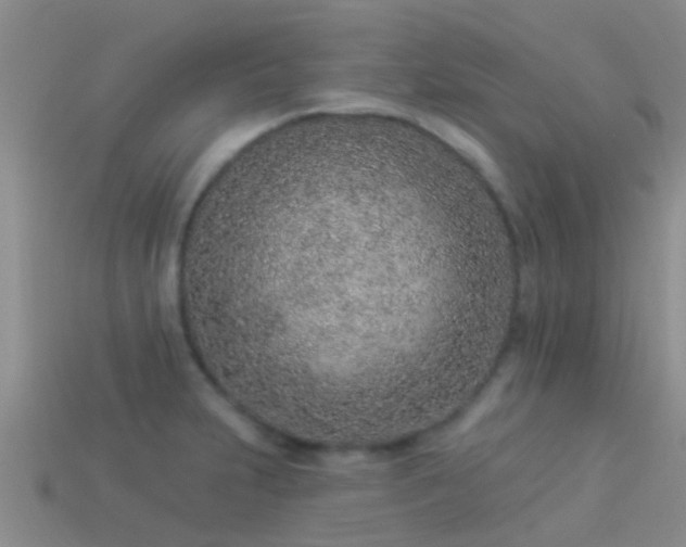 X0000114161231200910151559