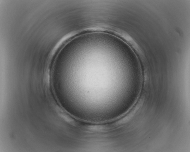 X0000114161232200910151559