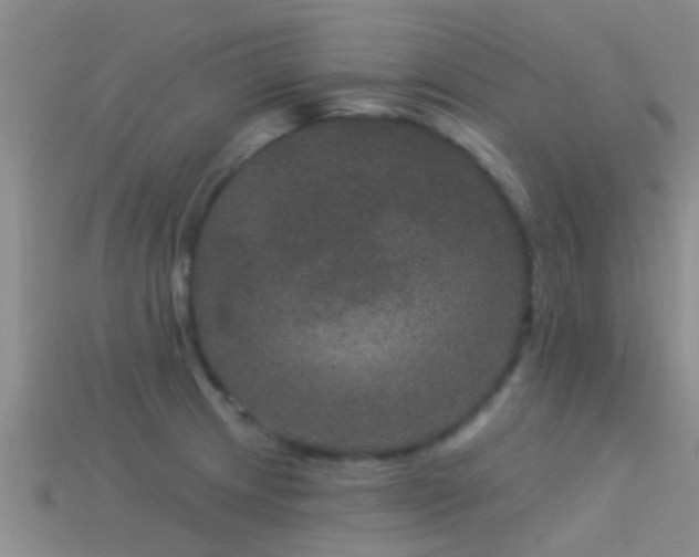 X0000114161233200910151559