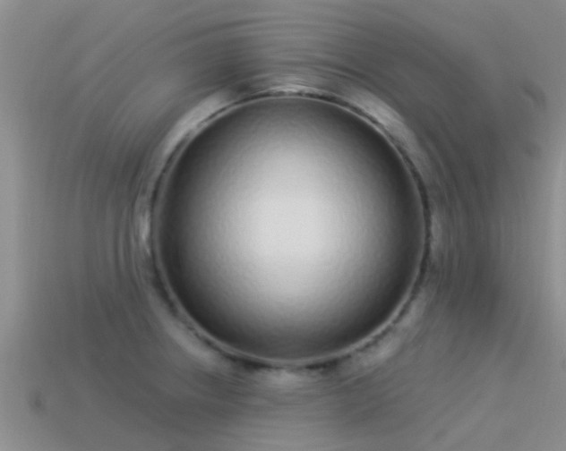 X0000114161234200910151559