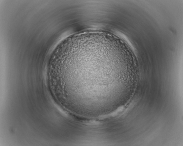 X0000114161235200910151559