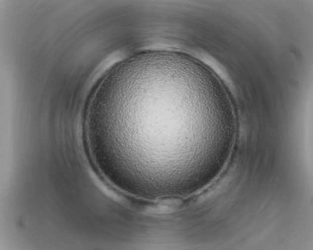 X0000114161237200910151559