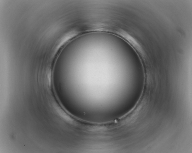 X0000114161238200910151559