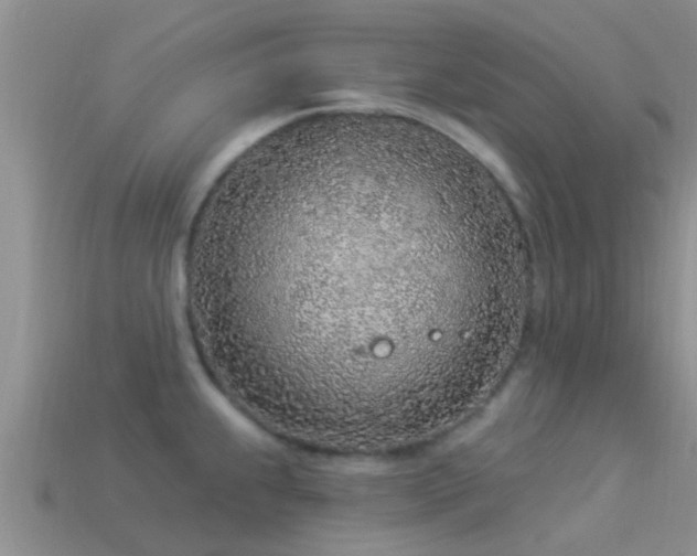 X0000114161239200910151559