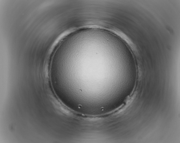 X0000114161240200910151559