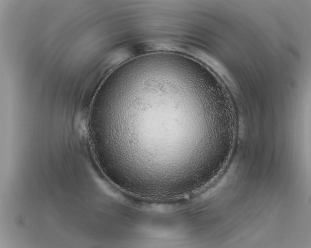 X0000114161241200910151559