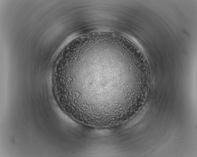 X0000114161243200910151559