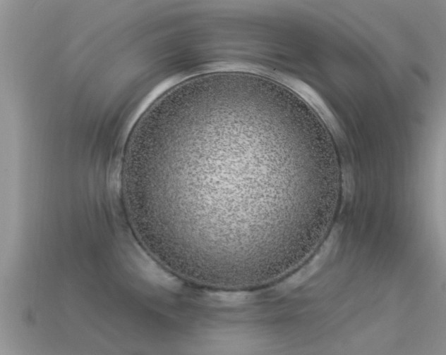 X0000114161244200910151559