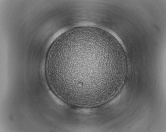 X0000114161245200910151559