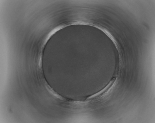 X0000114161246200910151559