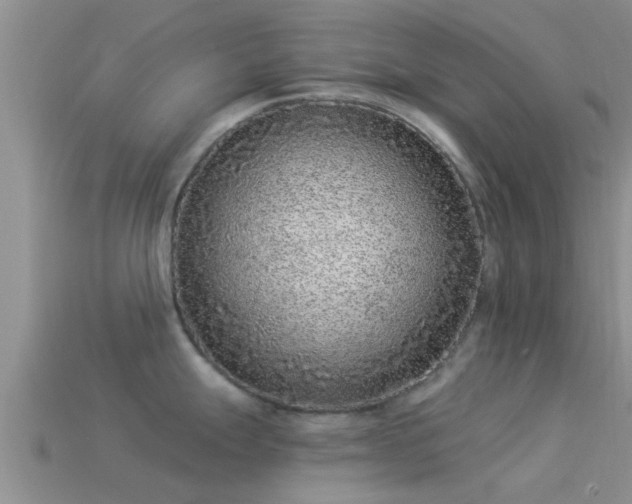 X0000114161247200910151559