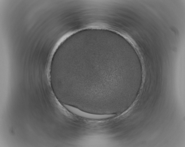 X0000114161248200910151559