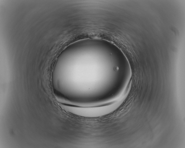 X0000114161249200910151558