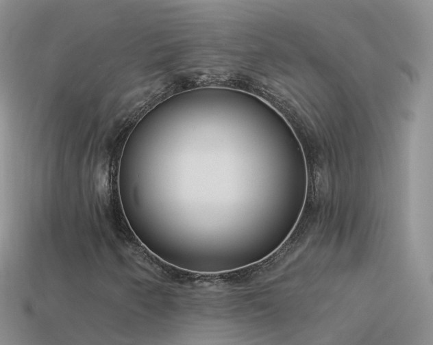 X0000114161250200910151558