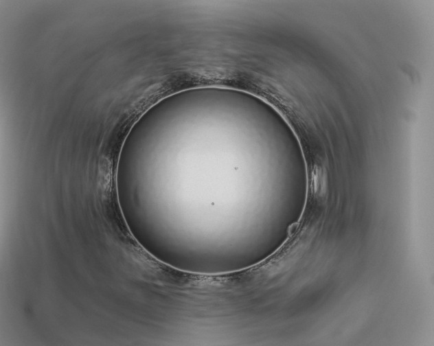 X0000114161251200910151558