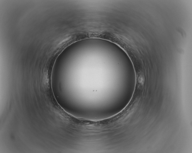 X0000114161252200910151558