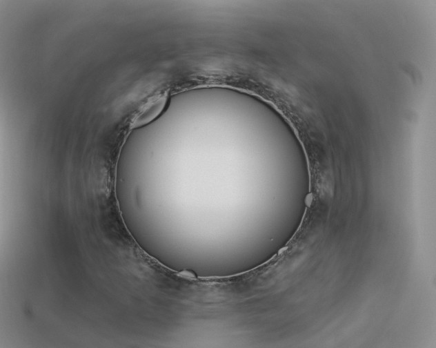 X0000114161253200910151558