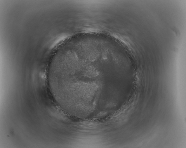 X0000114161254200910151558