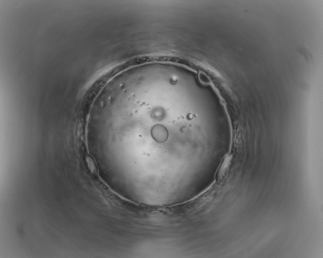 X0000114161255200910151558