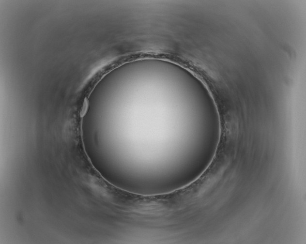 X0000114161256200910151558