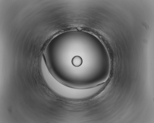 X0000114161257200910151558