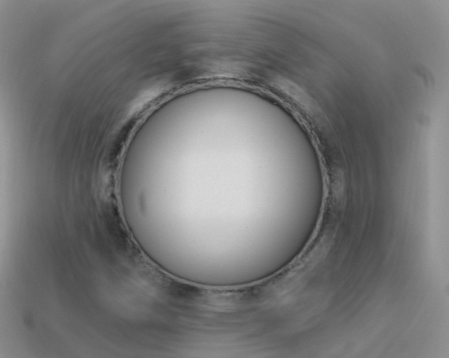 X0000114161258200910151558